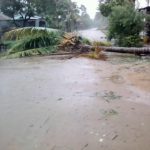 Cyclone « ENAWO » 2017 Antalaha